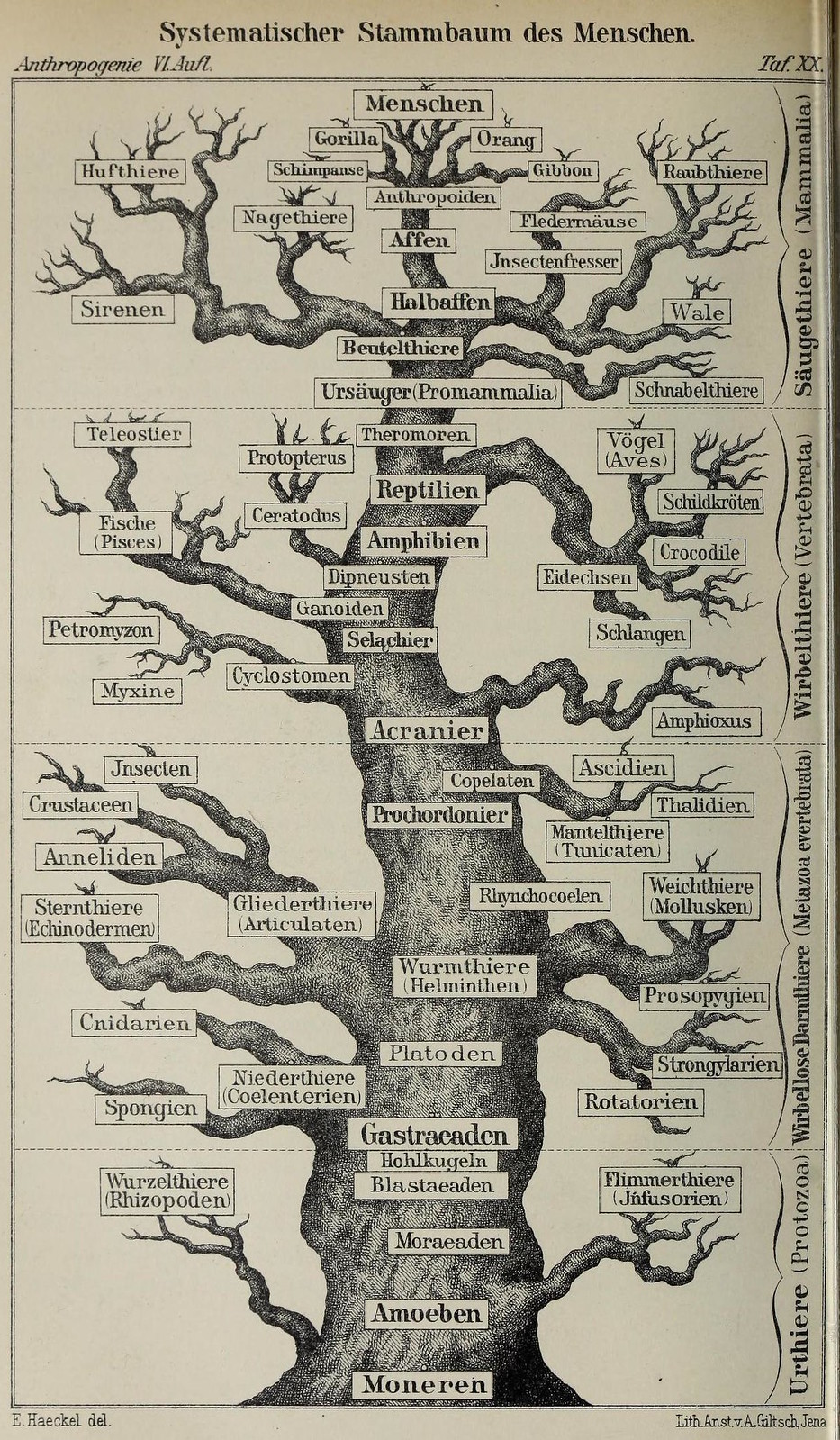 Progress for Whom and What? - Counterpoint: Navigating Knowledge