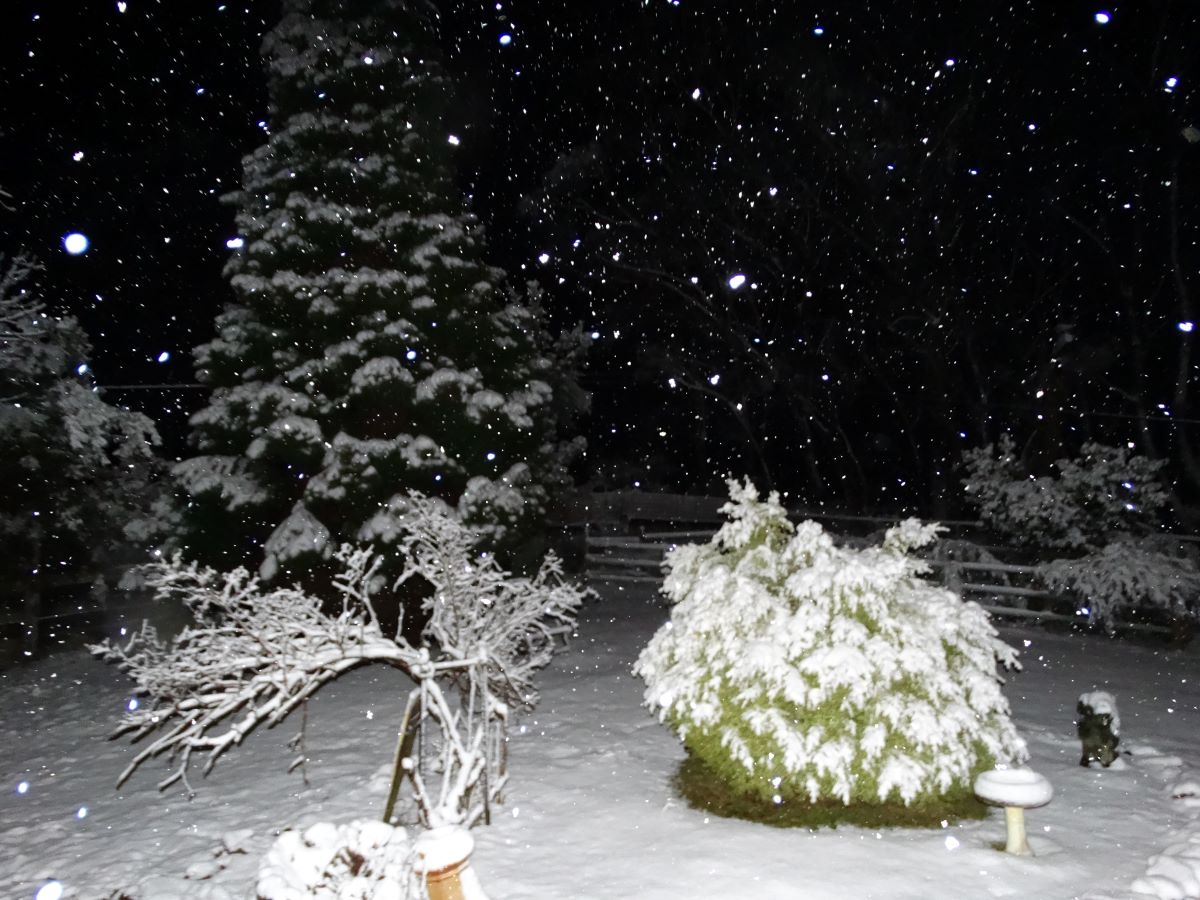 Reaching for the Stars: 9 Ohio State Parks with Out-of-this-World Stargazing